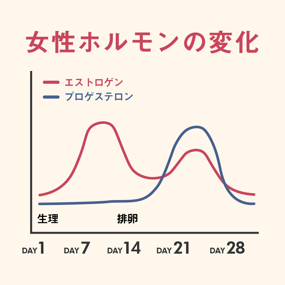 女性ホルモンの変化グラフ
